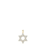Load image into Gallery viewer, Star Of David Diamond Pendant