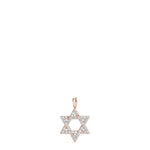 Load image into Gallery viewer, Star Of David Diamond Pendant