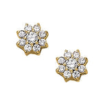 Load image into Gallery viewer, Earrings Cluster