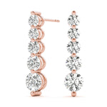 Load image into Gallery viewer, Earrings Journey