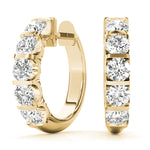 Load image into Gallery viewer, Earrings Hoop Earrings Standard Hoops