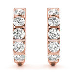 Load image into Gallery viewer, Earrings Hoop Earrings Standard Hoops
