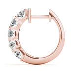 Load image into Gallery viewer, Earrings Hoop Earrings Standard Hoops