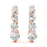 Load image into Gallery viewer, Earrings Journey