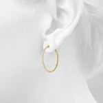 Load image into Gallery viewer, Earrings Hoop Earrings Vault Lock