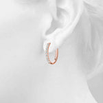 Load image into Gallery viewer, Fashion Earrings