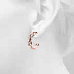 Load image into Gallery viewer, Fashion Earrings