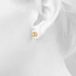 Load image into Gallery viewer, Earrings Halo
