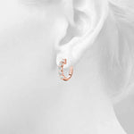 Load image into Gallery viewer, Earrings Hoop Earrings Standard Hoops
