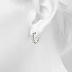 Load image into Gallery viewer, Earrings Hoop Earrings Standard Hoops
