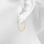 Load image into Gallery viewer, Earrings Hoop Earrings Vault Lock

