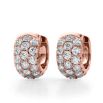 Load image into Gallery viewer, 3 Row Earrings
