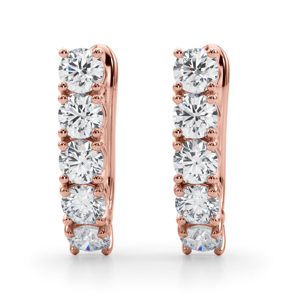 Earrings With Omega Backs