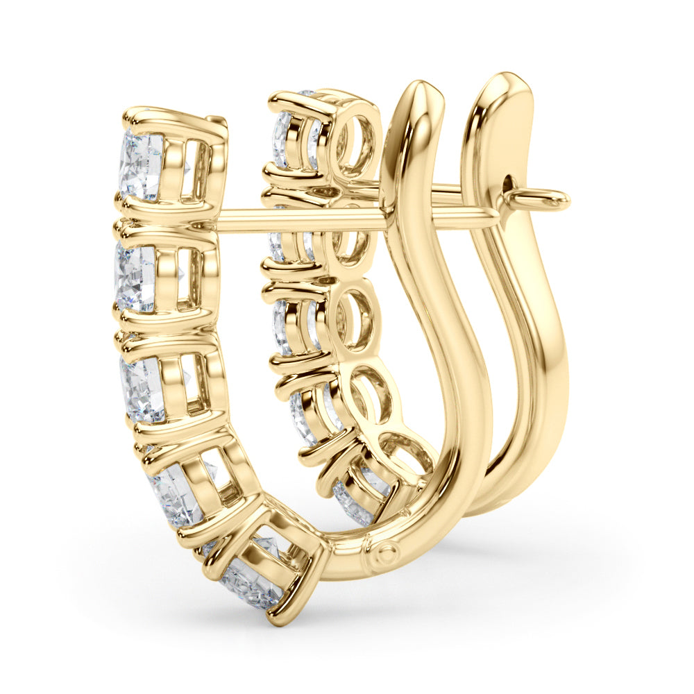 Earrings With Omega Backs