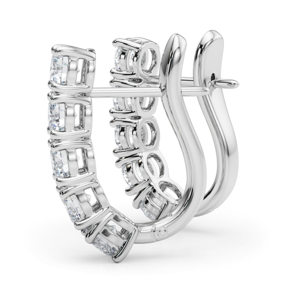 Earrings With Omega Backs