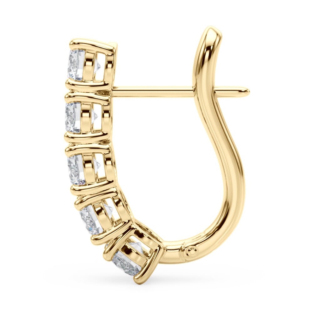 Earrings With Omega Backs
