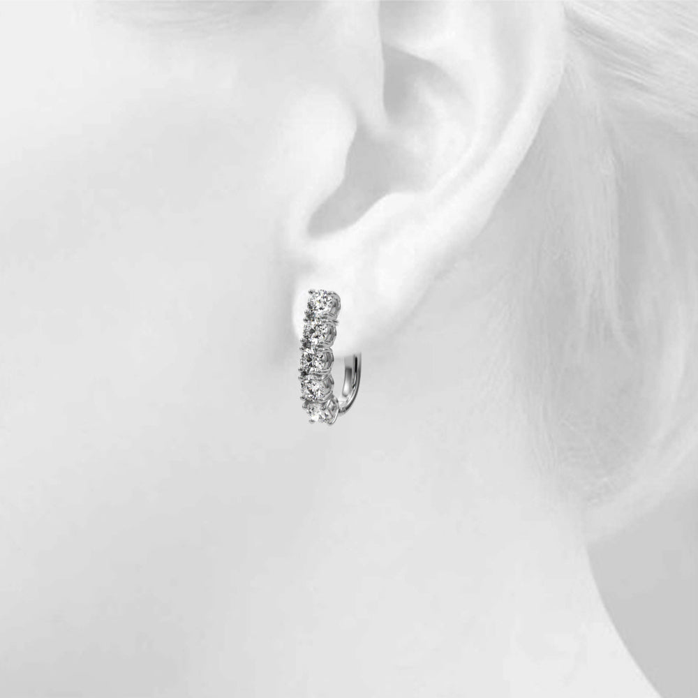 Earrings With Omega Backs